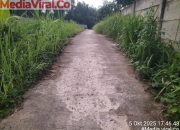 Klarifikasi Tim Pelaksana Kegiatan Soal Jalan Usaha Tani Sindangheula, Warga Sekitar Angkat Bicara Pastikan Kualitas Teknis