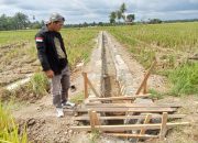 Petani Keluhkan Proyek Irigasi Asal-asalan di Mukomuko, BWS Sumatera VII Akui Ada Kesalahan Teknis