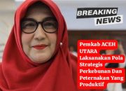 Pemkab Aceh Utara Siapkan Rencana Strategis Perkebunan dan Peternakan 2025–2026