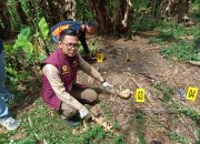 Ditemukan Tulang Belulang Manusia di Kebun Pisang, Polisi Lakukan Penyelidikan Mendalam