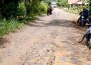 Warga Tunggu Janji Wakil Rakyat, Jalan Sekipi–Sidokayo Abung Tinggi Lampura Belum Diperbaiki