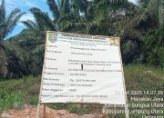 Proyek Jalan Negara Ratu–Sopoyono di Lampung Utara Senilai Rp19,6 Miliar Jadi Sorotan Publik