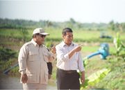 Petani Singkong se-Lampung Harapkan Presiden Prabowo Perhatikan Anjloknya Harga Singkong