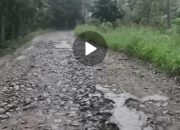 Jalan Sidokayo–Sekipi di Abung Tinggi Rusak Parah, Warga Minta Pemerintah Segera Perbaiki