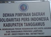 Wartawan Tanggamus Kritisi SK Bupati yang Angkat Konten Kreator Jadi Staf Humas Kominfo
