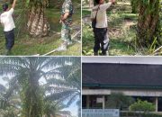 Diduga Positif Narkoba, Danton PT JWM di PTPN IV Tinjowan Disorot — Pencurian Sawit di Afdelling 1–6 Marak, Ratusan Tandan Hilang