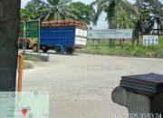 Diduga PKS PTPN IV Regional 2 Kebun Dolok Hilir Terima TBS Mentah dari Pihak Ketiga