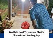 Bayi Baru Lahir Ditemukan dalam Kantong Plastik di Lampung Utara, Polisi Lakukan Penyelidikan