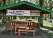 Kebun Tinjowan PTPN IV Regional II Diduga Lalai: Daun Sawit Kering, Gulma Menjamur, Produktivitas Terancam