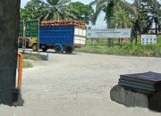 Dugaan Penerimaan Buah Mentah di PKS Dolok Ilir PTPN IV Regional 2 Sorot Integritas dan Pengawasan BUMN Perkebunan