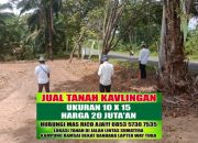 Minat Tanah Kavling? Lokasi Strategis Dekat Bandara Gatot Subroto Way Kanan Mulai Rp10 Jutaan