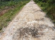 Jalan Rabat Beton di Tanjung Serupa Way Kanan Rusak Berat, Warga Desak Audit Dana Desa