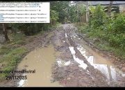 Warga Desa Umbulan Keluhkan Jalan Seperti Kubangan Kerbau, Pertanyakan Pengelolaan Dana Desa Rp 998.491.000 — Bupati Diminta Bertanggung Jawab