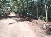Jalan Rusak Parah di Abung Tengah: Janji Pejabat Bulan Juli 2025 Semua Diaspal Mulus Hingga Seluruh Desa Menguap, Warga Merasa Dibodohi