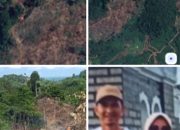 Mengejutkan! Istri Mantan Kepala Kampung Indrapura Selatan Akui Suami Terlibat Perambahan Kawasan HPT