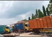 PT FM Tulung Buyut Diduga Abaikan Aturan Harga Ubi Singkong, Petani Lampung Utara Merasa Dirugikan