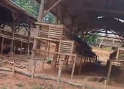 Diduga Gunakan Dana Desa untuk Bangun Kandang Ayam di Lahan Pribadi, Kades Tanjung Serupa Jadi Sorotan Warga