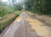 Jalan Bumi Ratu–Negara Agung Hancur Total: Warga Pertanyakan Kepedulian Pemerintah Daerah