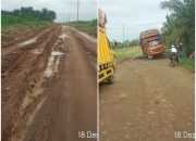 Truk Diduga Over Kapasitas Lumpuhkan Jalan Induk Kebun Mayang, Mobil Tangki Terjebak Antrian Panjang