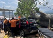 Dua Mobil Tertimpa Pohon Jumbo di Hotel Bukit Randu, Satu Pengemudi Terjepit