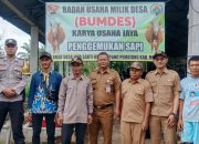 Bumdes Karya Usaha Jaya Kembangkan Penggemukan Sapi Limousin, Dorong Perputaran Ekonomi Desa Jaya Sakti