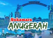 Bau Busuk Proyek APBD 2025 Menyengat, Dugaan Persekongkolan Elit Daerah di Sukamara Makin Terang-Benderang