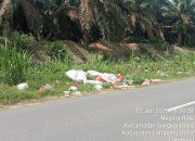 Tumpukan Sampah Busuk Cemari Jalan Lintas Negara Ratu–Way Kanan, Warga Geram: Aparat Desa Dinilai Tutup Mata