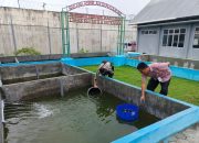 Komitmen Dukung Ketahanan Pangan Nasional, Lapas Way Kanan Tebar 1.200 Benih Ikan Patin