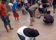 Masyarakat Gading Rejo Tabur Ikan Lele, Protes Jalan Rusak Parah Tak Kunjung Diperbaiki