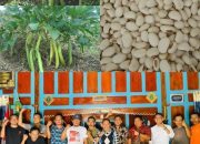 Pertanian Koro Pedang di Ponorogo Didorong Jadi Alternatif Pangan Nasional