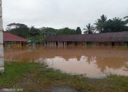 Hujan Deras Guyur Way Kanan, Camat Negeri Agung Tinjau Permukiman Terendam Banjir