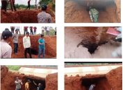 Diduga Tambal Sulam, Proyek Rehabilitasi Irigasi Way Bumi Agung BBA.4 Dipersoalkan Warga
