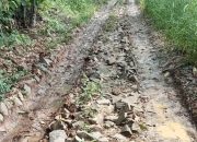 Jalan Onderlagh Dusun 9 Ogan Lima Rusak Parah, Warga Cium Bau Korupsi Dana Desa Rp276 Juta