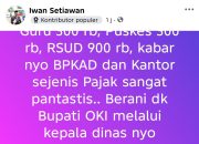 Soal Gaji PPPK Paruh Waktu, Warganet Tantang Bupati OKI Buka-bukaan
