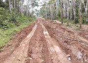 Jalan Menuju PT OKI Pulp & Paper Rusak Parah, Warga Pertanyakan Tanggung Jawab Perusahaan
