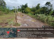 Heboh!! Warga Kota Serang Tanam Pisang di Jalan Berlubang, Protes Keras Infrastruktur Rusak