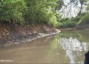 Dituding Cemari Sungai, PT Surya Ogan Nabati Buka Data: “Kalau Tercemar, Ikan Pertama Mati!”