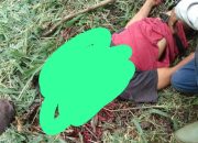 Pemuda 23 Tahun Tewas Bersimbah Darah di Kebun, Leher Luka Parah! Polisi Buru Terduga Pelaku