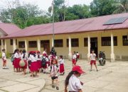 Diminta Bupati Nias Selatan Copot Kepsek SD Negeri 078571 Hiliorodua, Diduga Langgar PP 94 Tahun 2021