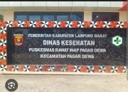 Kapus Pagar Dewa Diduga Abaikan Konfirmasi Media! Sibuk Urus Burung Saat Ditanya Dana BOK, AJP Lampung Barat Murka