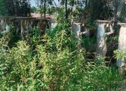 Skandal Patung Rp2 Miliar di Tubaba Meledak! Dibeli Mahal, Dibiarkan Terbengkalai — Siapa Bertanggung Jawab?