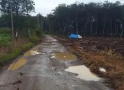 Puluhan Tahun Dibiarkan Hancur! Jalan Kembang Tanjung Lampung Utara Jadi “Kolam Lumpur”, Warga: Pejabat Kaya, Rakyat Sengsara