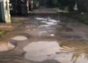 Skandal Jalan “Kubangan Lele” di Lampung Utara: Puluhan Tahun Dibiarkan Hancur, Anak Sekolah Jadi Taruhan