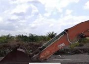 Diduga Seret Pejabat Tinggi, Kasus Penggarapan Hutan Produksi di Sukamara Mandek — Hukum Tajam ke Bawah, Tumpul ke Atas?