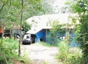 Teror Bau Menyengat Diduga Cemari Lingkungan, Warga Desak Penutupan Kandang Ayam di Sepancar Lawang Kulon