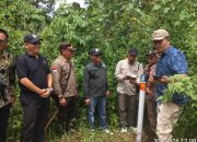 Ironis, Diduga Masih Ada Pejabat di Bengkulu Selatan yang Memandang Rendah Seseorang Berdasarkan Status Sosial