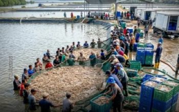 Pria di Jateng Dipidana 5 Tahun dan Denda Rp 1 Miliar, Dijerat Pasal Alih Fungsi Lahan, Lampung Utara Aman