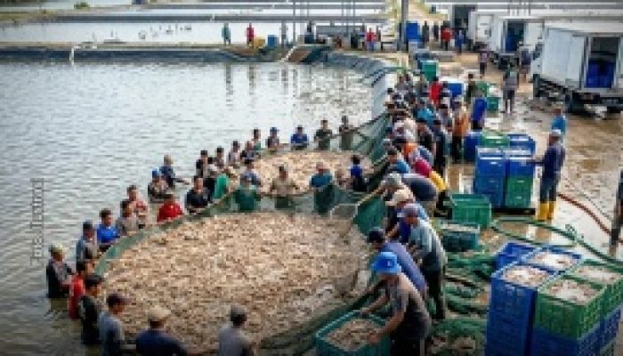 Pria di Jateng Dipidana 5 Tahun dan Denda Rp 1 Miliar, Dijerat Pasal Alih Fungsi Lahan, Lampung Utara Aman