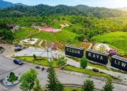 Pemkab Lampung Barat Tegaskan Tidak Pernah Perintahkan Penanaman Kopi di Kawasan Kebun Raya Liwa