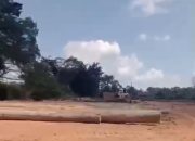 Diduga Angkat Kayu Log Tanpa Dokumen di Kalimantan Tengah, Aktivitas di Desa Bruta Jadi Sorotan